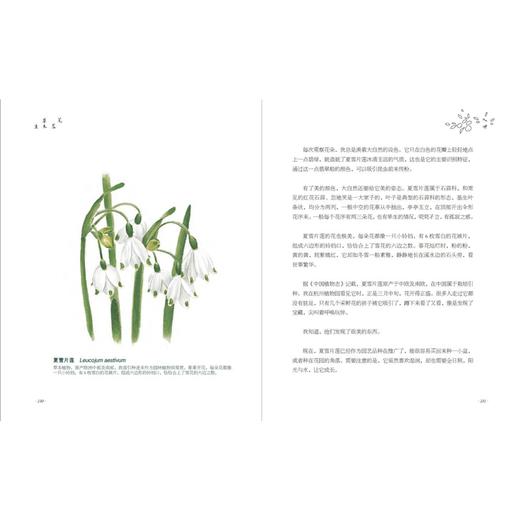 《笔落草木生》 商品图8