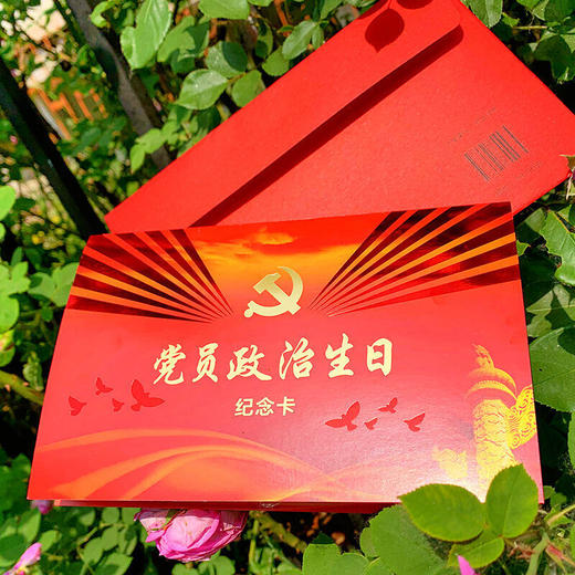 党员政治生日纪念卡 商品图2