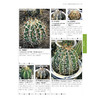 1200种多肉植物图鉴：珍藏版 商品缩略图5