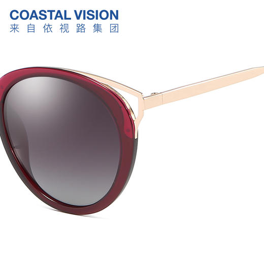 Coastal Vision镜宴偏光太阳镜6226 商品图5