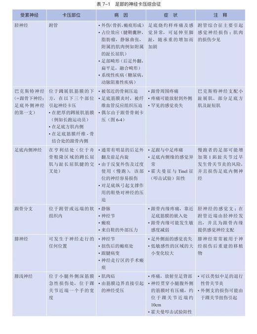 足踝影像诊断学  国际经典影像学译著 一部由德国影像学专家、足踝外科专家共同编著的足踝外科经典著作 商品图4