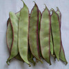 【时令蔬菜】峨眉豆500g±20g 商品缩略图2