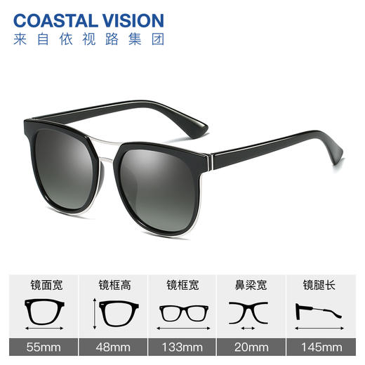 Coastal Vision镜宴偏光太阳镜8137 商品图0