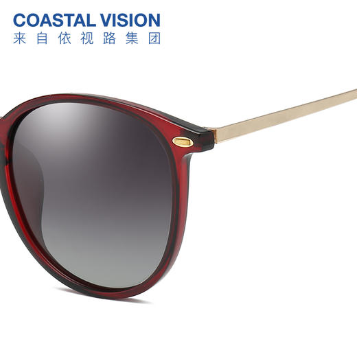 Coastal Vision镜宴偏光太阳镜CS5051 商品图3