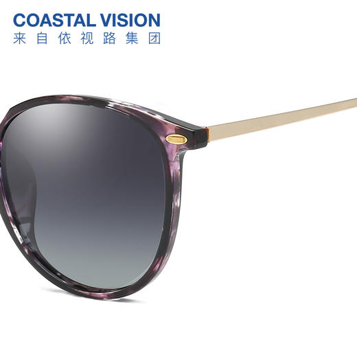 Coastal Vision镜宴偏光太阳镜CS5051 商品图5
