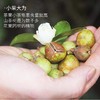 【babybird】天然茶籽粉500g*3包 多种清洁用途 商品缩略图2