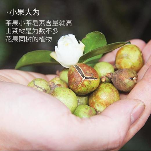 【babybird】天然茶籽粉500g*3包 多种清洁用途 商品图2