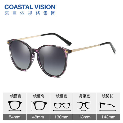 Coastal Vision镜宴偏光太阳镜CS5051 商品图4