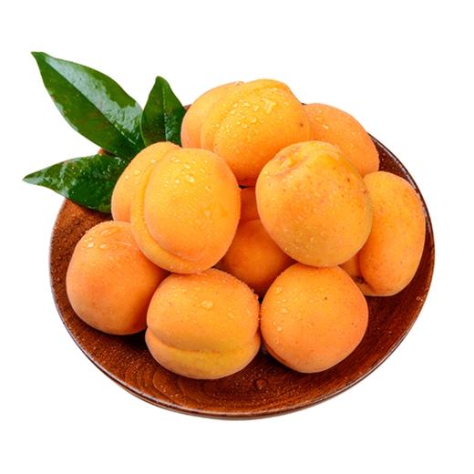 黄杏5斤 商品图0