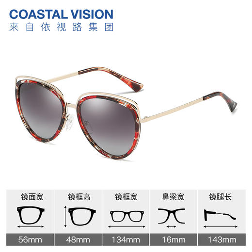 Coastal Vision镜宴偏光太阳镜8136 商品图2