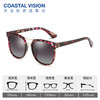 Coastal Vision镜宴偏光太阳镜8137 商品缩略图2