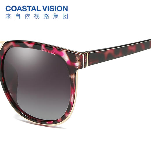 Coastal Vision镜宴偏光太阳镜8137 商品图3