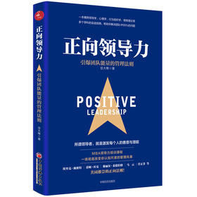 正向领导力 引爆团队能量的管理法则  领导力 领导力法则  工商管理  深度工作法则