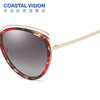 Coastal Vision镜宴偏光太阳镜8136 商品缩略图3