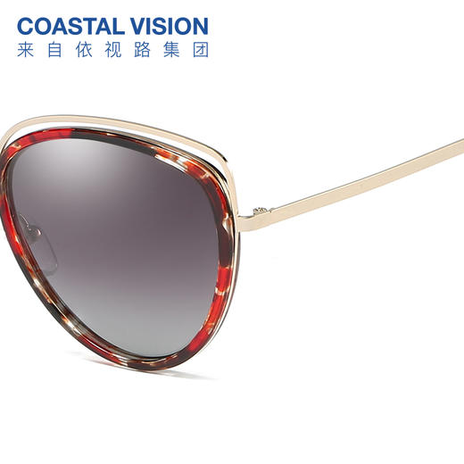 Coastal Vision镜宴偏光太阳镜8136 商品图3