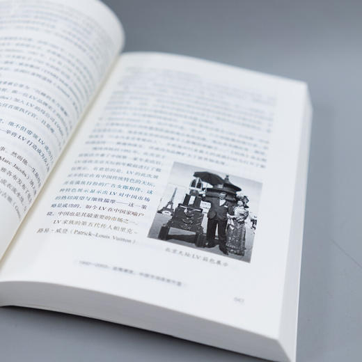 奢侈品在中国 梦幻商业与美好生活的激荡40年 奢侈品财经读本，品牌管理读本，吴晓波推荐图书 商品图4