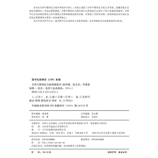 天然气管网压力能利用技术 商品图8