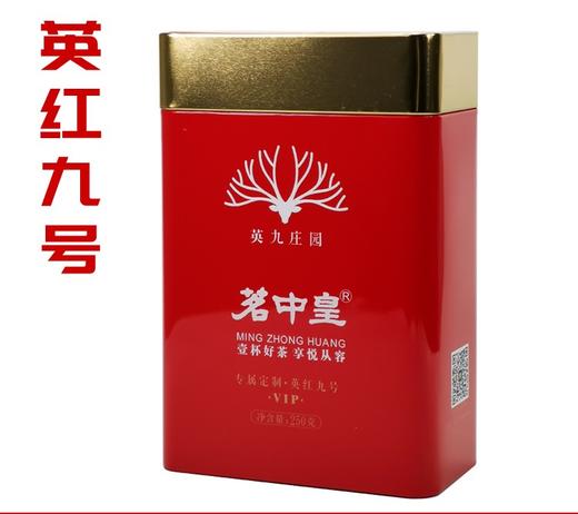 英红九号 商品图0