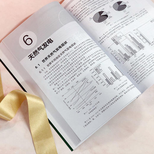 天然气利用新技术（第二版） 商品图3