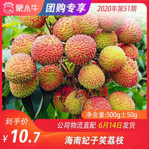 【水果团购】海南妃子笑荔枝500g±50g 商品图0