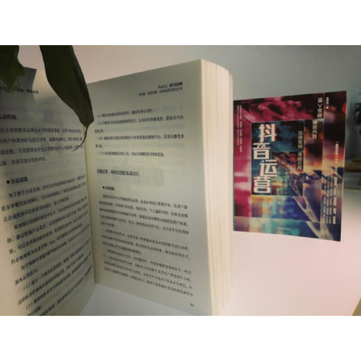 抖音运营：蓝V攻略 爆款内容 品牌营销 落地应用  新媒体运营短视频社群营销运营管理书籍  细粉引流转化变现实战书 商品图5