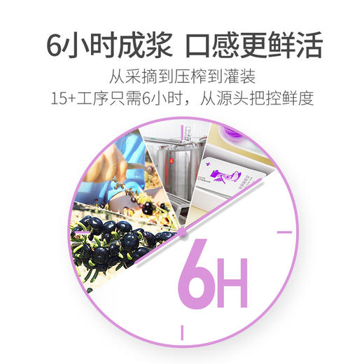 【鲜果鲜榨】杞里香黑枸杞原浆——补充满满营养 商品图2