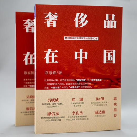 奢侈品在中国 梦幻商业与美好生活的激荡40年 奢侈品财经读本，品牌管理读本，吴晓波推荐图书 商品图2
