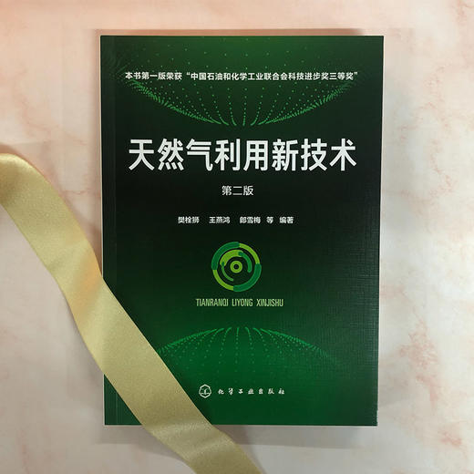 天然气利用新技术（第二版） 商品图1
