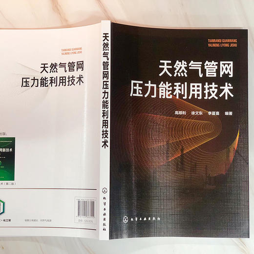 天然气管网压力能利用技术 商品图3