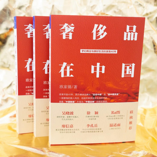 奢侈品在中国 梦幻商业与美好生活的激荡40年 奢侈品财经读本，品牌管理读本，吴晓波推荐图书 商品图1