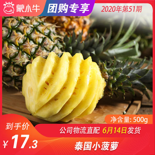 【团购】泰国小菠萝 500g±50g 商品图0