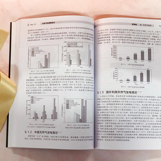 天然气利用新技术（第二版） 商品图4