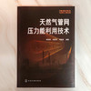 天然气管网压力能利用技术 商品缩略图1