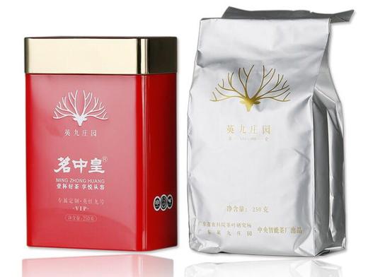 英红九号 商品图1