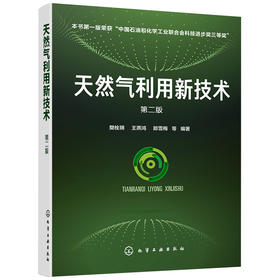 天然气利用新技术（第二版）