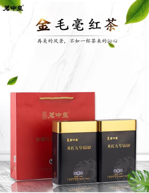 茗中皇 金毛毫 商品图1