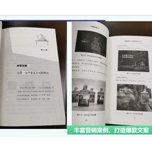 种草文案：月销百万的推文写作技巧 商品图2