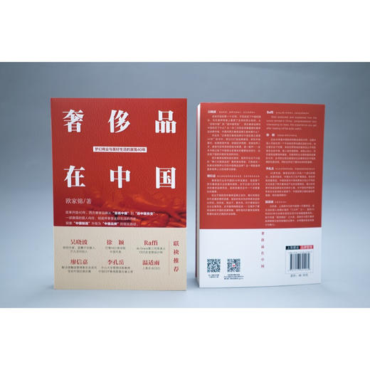 奢侈品在中国 梦幻商业与美好生活的激荡40年 奢侈品财经读本，品牌管理读本，吴晓波推荐图书 商品图5