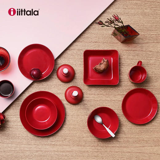 Iittala伊塔拉Teema经典主题系列简约陶瓷餐具盘子21cm 商品图2
