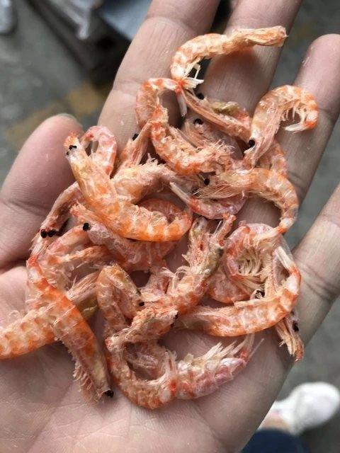 南极磷虾干，特大号，2斤装，500g*2袋，高蛋白，低脂肪，鲜美醇厚，收到后请第一时间冷冻保存，中通和汇通，随机包邮 商品图1