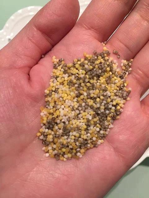 【山西五色小米】500g*3袋，比例1:1:1:1:1，百世包邮 商品图3