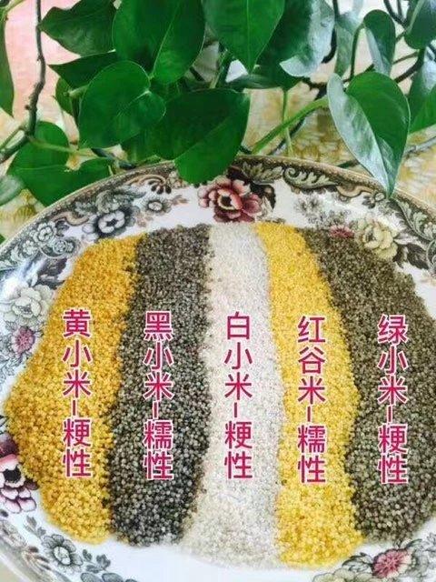 【山西五色小米】500g*3袋，比例1:1:1:1:1，百世包邮 商品图8