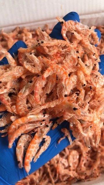 南极磷虾干，特大号，1斤装，纯野生，高蛋白，低脂肪，鲜美醇厚，收到后请第一时间冷冻保存，中通和汇通，随机包邮 商品图3