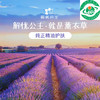 薰衣草精油原料 商品缩略图4