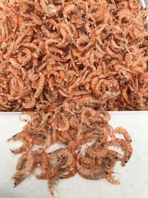 南极磷虾干，特大号，2斤装，500g*2袋，高蛋白，低脂肪，鲜美醇厚，收到后请第一时间冷冻保存，中通和汇通，随机包邮 商品图2