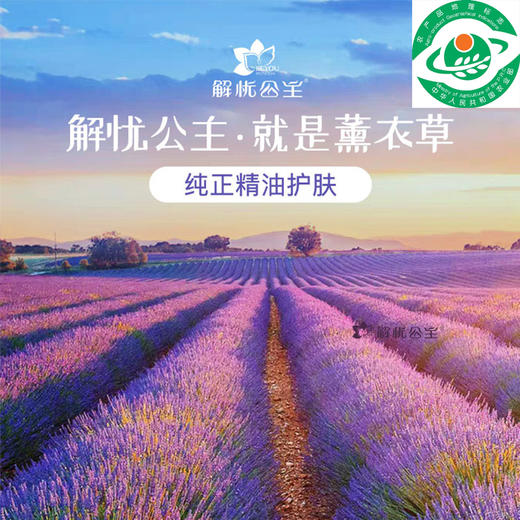 薰衣草干花粒500g/包 商品图5