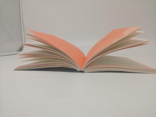 好父母养出好孩子 给家长的35堂教育思考课 中国式家长家庭教育反思书 家庭氛围 亲子沟通关系培养 培养孩子书籍时间观念 全球视角 商品图5