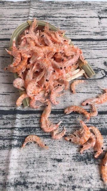 南极磷虾干，特大号，1斤装，纯野生，高蛋白，低脂肪，鲜美醇厚，收到后请第一时间冷冻保存，中通和汇通，随机包邮 商品图4