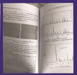 钇铝石榴石粉体及透明陶瓷的制备与性能 李金生 钇铝石榴石粉体材料制备技术书籍 透明陶瓷制备光学性能分析 粉体设计制备表征优化 商品图3