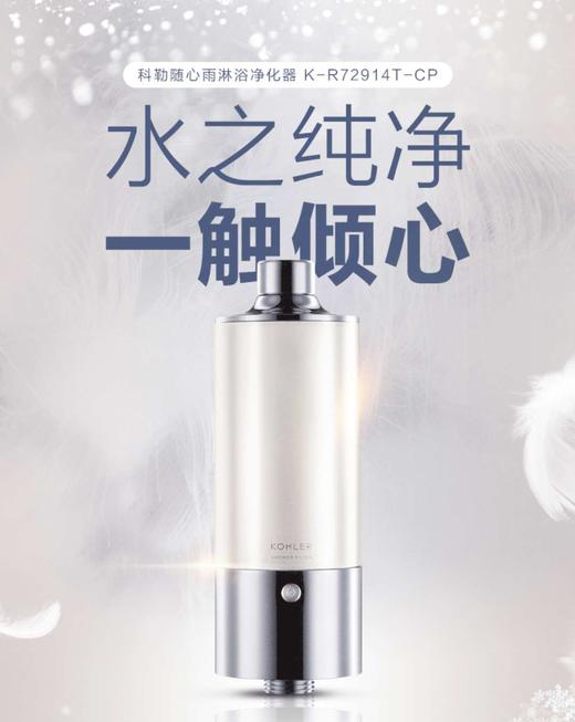 科勒随心雨淋浴净化器R72914T 商品图0